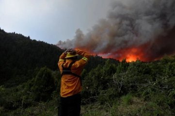 Incendios en Bariloche: el fuego atravesó la Ruta 40 y se destruyeron 6 mil hectáreas