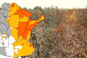 Déficit hídrico: Santa Fe entre las provincias más castigadas