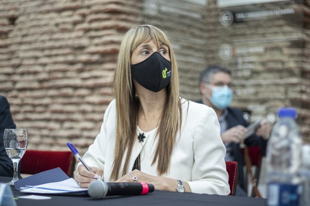 Sonia Velázquez, ministra de Salud de Entre Ríos, denunció al grupo antivacunas de Crespo. 