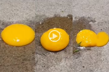 Video: en menos de 10 minutos se cocinó un huevo sobre el asfalto de la ciudad de Santa Fe