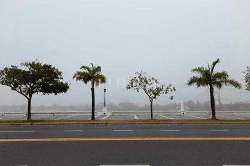La neblina sorprendió a la ciudad de Santa Fe: apenas se ve la Laguna Setúbal - 