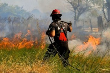 En Corrientes declaran la emergencia por incendios, después de que se quemarán 6 mil hectáreas de bosques