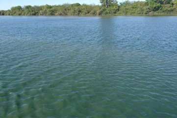 Recomiendan evitar el contacto con río Gualeguaychú por la presencia de cianobacterias