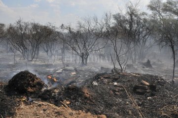 Crisis climática: durante el 2021 se quemaron 100 mil hectáreas en el Pre Delta - La semana pasada arrancó con  700 puntos de calor (que son los que pueden convertirse en incendios) y terminó con  con más de 1450. Y después llegó la tormenta.