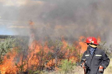Formosa, Misiones y Río Negro registran focos de incendios forestales