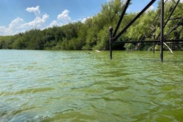 Advierten la presencia de cianobacterias tóxicas en aguas del Río Uruguay