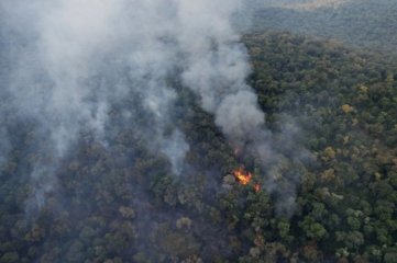 Tres provincias registran focos de incendios forestales