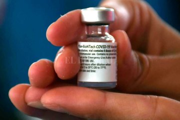 Anticuerpos covid: estudio científico santafesino comprobó que hay gran diferencia entre vacunas Protección contra el virus