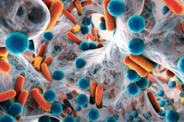Las superbacterias resistentes a los antibióticos causan más de un millón de muertes al año