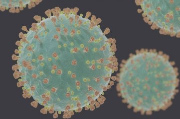 Coronavirus: "Ómicron sigilosa", una mutación que ya preocupa a Europa y Estados Unidos -  - 