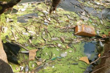 Contaminación ambiental: una iniciativa ciudadana promueve la limpieza del arroyo Cululú