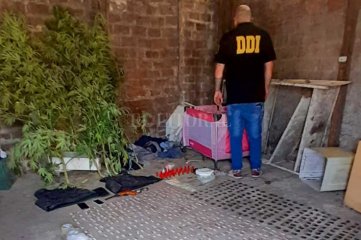 Incautaron unas 13 mil dosis de cocaína adulterada en el conurbano bonaerense