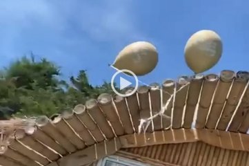 Susana Gimnez solt globos para pedir deseos y  la escracharon por contaminar