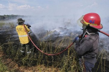 Corrientes y Río Negro permanecen con focos activos de incendios forestales
