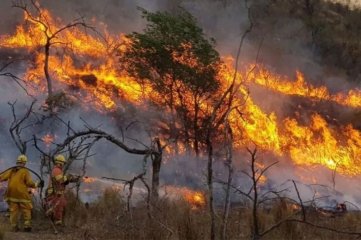Continúan los  focos de incendios forestales en la provincia de Corrientes