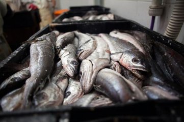 Argentina y Brasil acordaron promover la exportacin pesquera