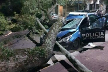 Destrozos y rboles cados tras el temporal en la Ciudad de Buenos Aires y el conurbano bonaerense