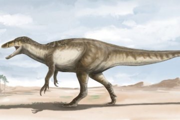El dinosaurio megaraptor más grande habitó la Argentina