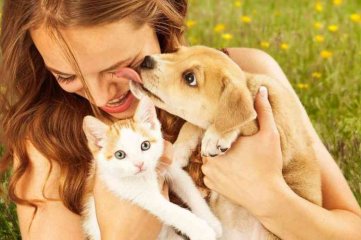 Da del Animal en Argentina: cmo cuidar a tu mascota, para mantenerla sana y feliz