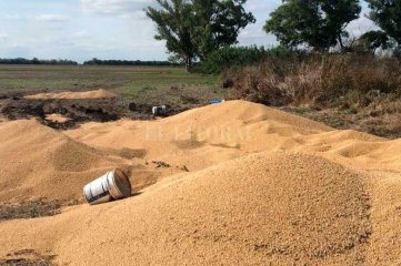 45 toneladas de soja robadas a balde cerca de Josefina