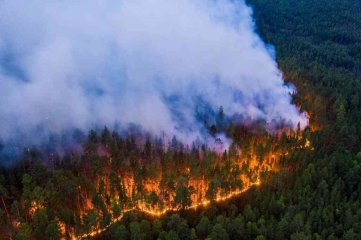 Al menos cinco muertos y unos 200 edificios afectados por incendios forestales en Siberia