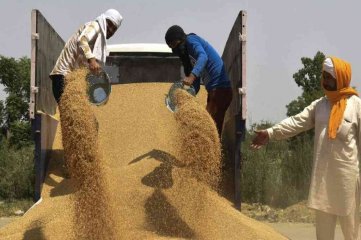 Por el alza global de precios, India prohibió la exportación de trigo