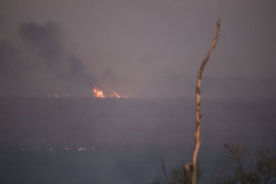 Incendios en el Delta del Paraná: Entre Ríos envió a la Justicia los datos de los propietarios de las islas