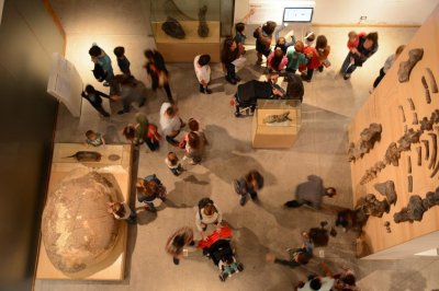 Museo de Ciencias Naturales Ángel Gallardo: un espacio para la producción colectiva de conocimiento - 