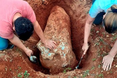 Encontraron enterrado en San Carlos un fósil de más de 80 mil años - 
