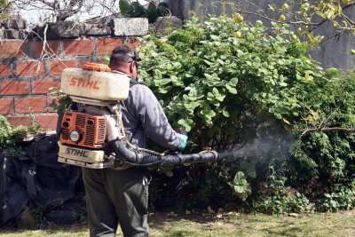 Preocupación en Rufino: ya son cuatro los casos de dengue autóctono - La fumigación es una de las acciones que se desarrollan para combatir el mosquito.