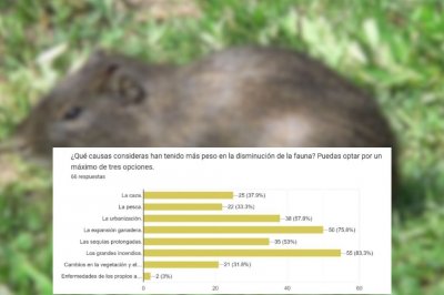 Una encuesta advierte sobre la extincin en la fauna de las islas entrerrianas - Cerca del 65% estima haber percibido esta disminucin de manera ms notable en los ltimos 5 aos. Un 20% restante habla de los ltimos 10 aos.
